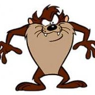 taz_quokka