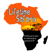 lifetimesafaris