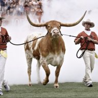 texwes