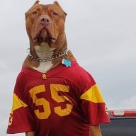 Anthonyusc