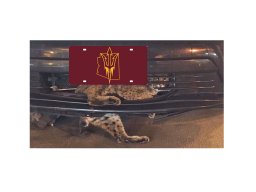 ASTATE87