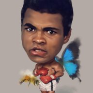 Bdquinn2