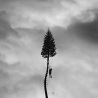 TheSilence