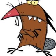 Beavoracity1