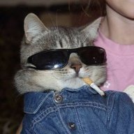 Denacat