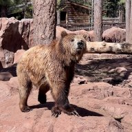 SmokeyTheBear