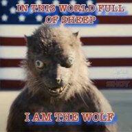 Wolfgang Puk