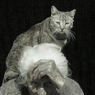 Grandma’sCat