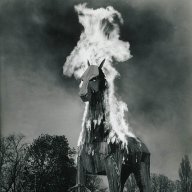 USCfireHorse12