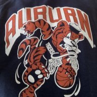 Tigertime23