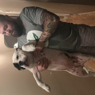 CaliBuckeyeFan