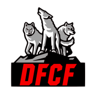 dfcf99
