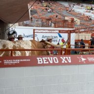 HookEm28!