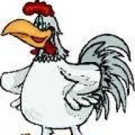 CockofEarle…