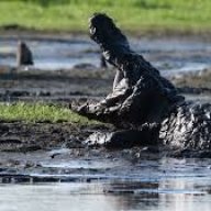 Mud