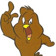 HeneryHawk