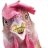 UnionGamecock