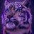 Purple.Tiger2019