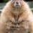 Fatwoodchuck