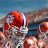 ClemsonMullet