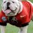 Dawgs_74