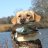 HuntinDawg