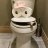 Smoking Toilet
