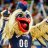 Pierre The Pelican