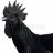 BlackCOCKDown