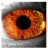 eyepoke