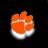 89TigerGrad