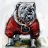 dawgtooth27