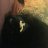 Yourpetcatjacket2