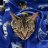 ClearCat