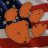 DMVTiger81
