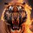 Tigerfan8002