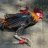 motherclucker