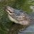 MTgator10