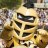 Saturday Knight Live