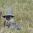 Gandawg the Grey