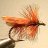 sedge1