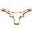 longhorn1982