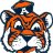 Auburntiger86