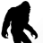 Real Sasquatch