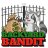BackYardBandit66
