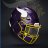TarVikes1