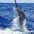 r_marlin78