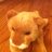 getmyjive11_