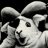 TarHeelBorn83