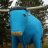 Babe the Blue Ox